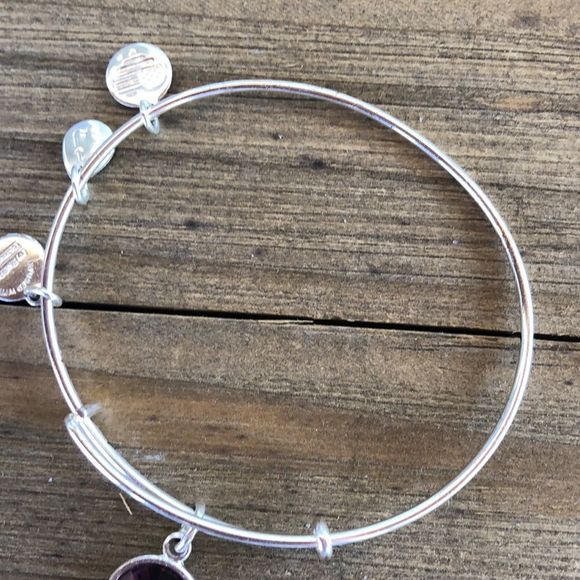 Alex and Ani Amethyst Birthstone Crystal Silver Adjustable Charm Bracelet! EUC - Picture 5 of 10